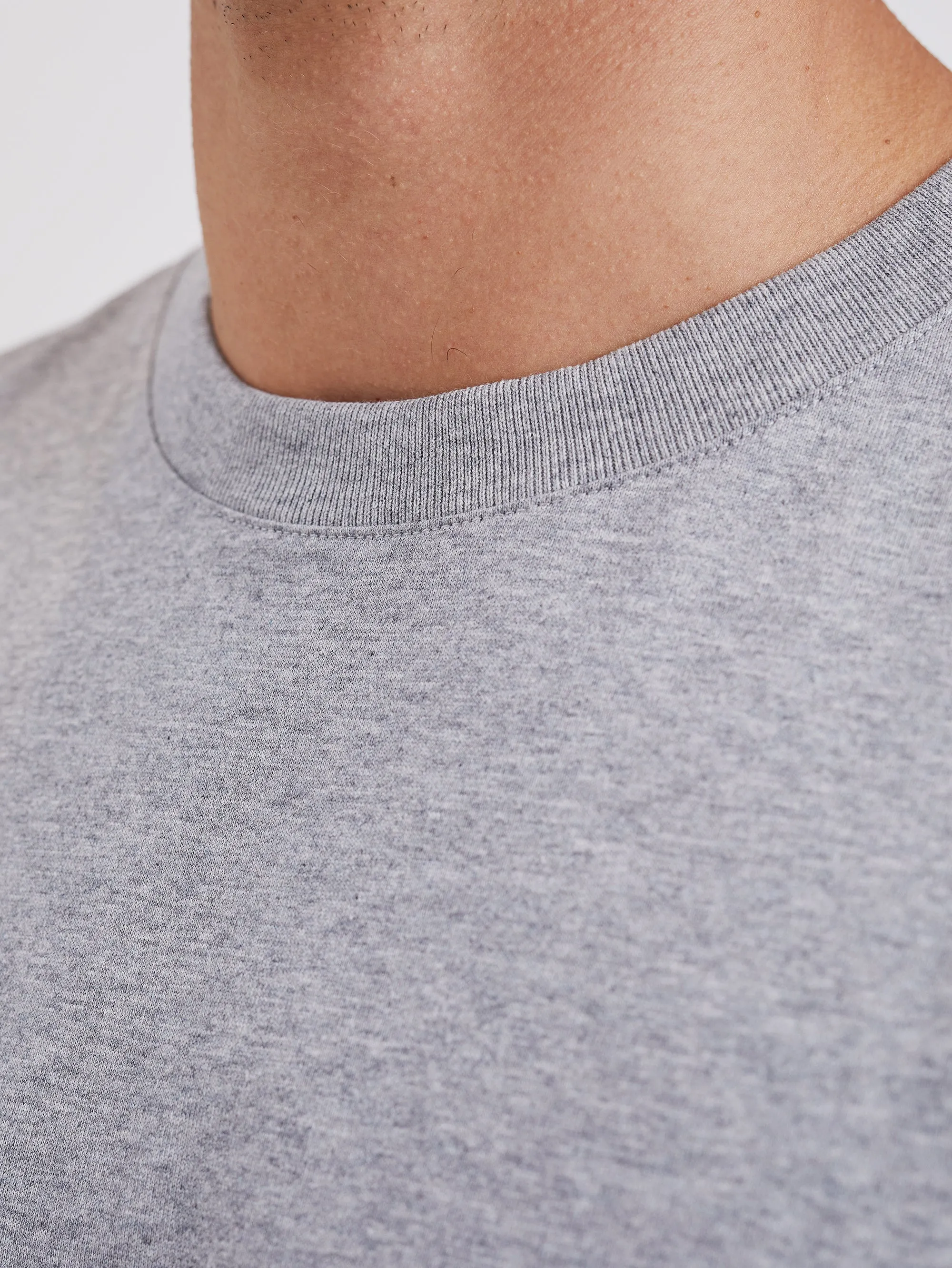 T-shirt in Cotone Organico Grigio Mélange